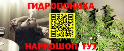 каннабис Будённовск