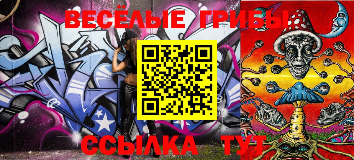 Псилоцибиновые грибы GOLDEN TEACHER Кировск