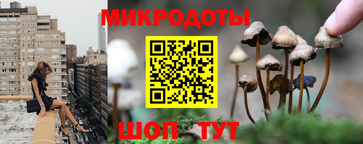 купить закладку  Галлюциногенные грибы Psilocybe  Псилоцибиновые грибы прущие грибы  Вход с VPN  Кировск 